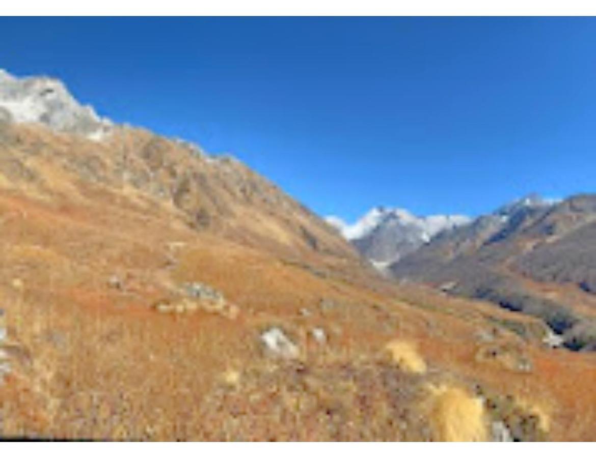 Valley Of Flowers Holiday Inn, Ghangaria Lokpāl Eksteriør bilde